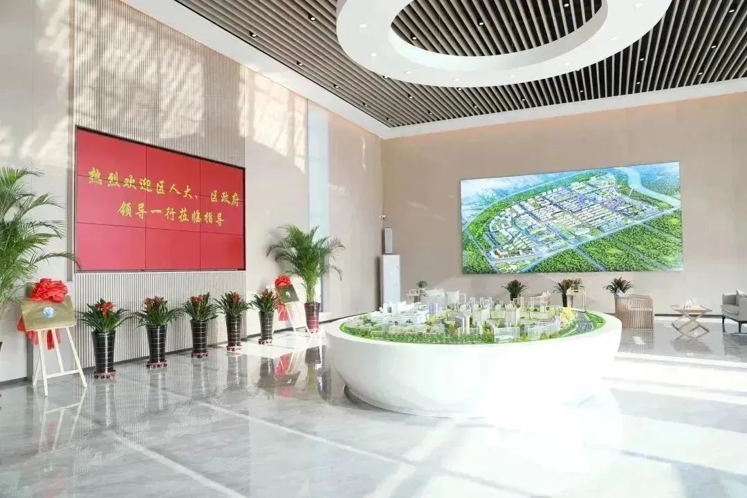 龍港區(qū)人大、區(qū)政府領(lǐng)導(dǎo)一行視察調(diào)研龍港國際醫(yī)療健康產(chǎn)業(yè)園(圖2)