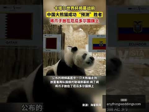 梅西,中年失业的,奋斗历程,开云入口官网,开云体育,开云下载,开云代理,开云平台