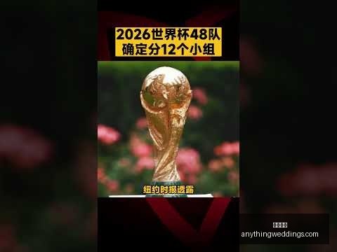 巴薩中衛陣,容傷兵累累,皮克獨木難,开云入口官网,开云体育,开云下载,开云代理,开云平台