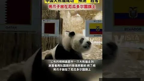 梅西：中年失业的奋斗历程